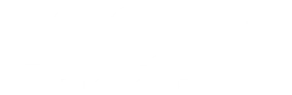 logo-leone-home